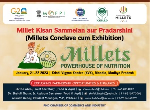 phdcci Millets : Powerhouse of Nutrition