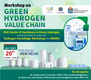 phdcci Workshop on Green Hydrogen Value Chain