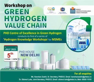 phdcci Workshop on Green Hydrogen Value Chain