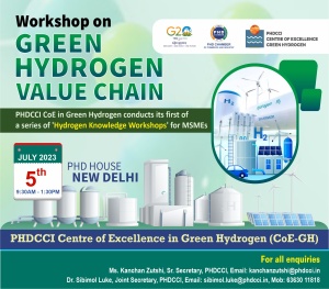 phdcci Green Hydrogen Value Chain